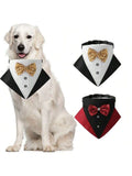  | SHEIN 1pc Fashionable Sparkly Collar With Bow Tie For Cat And Dog | Dress | Shein | OneHub