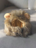  | SHEIN 1pc Furry Lion Mane Wig For Cats & Dogs With Ears Of Rabbit, Frog Or Bear, Funny Pet Costume Accessory | Dress | Shein | OneHub