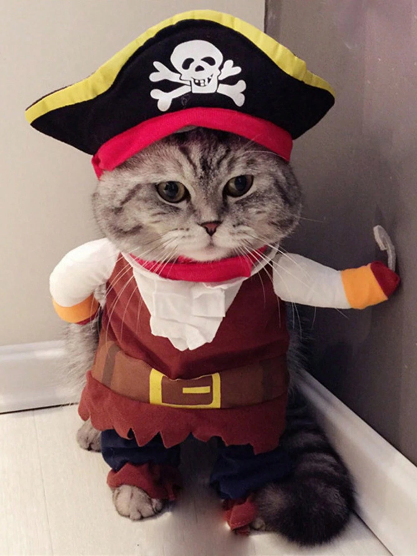  | SHEIN 1pc Halloween Pet Costume, Dog Pirate Cosplay Clothes | Dress | Shein | OneHub