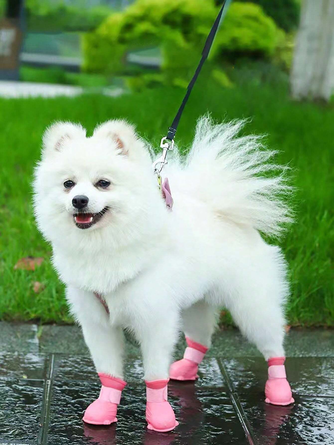 | SHEIN 1pc Pet Dog Rain Boots Spring Waterproof & Warm Shoes For Pet Paws, Slip-Resistant, Durable, Outdoors, Anti-Scratch For Nails And Cats | Dress | Shein | OneHub