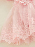 SHEIN Newborn Baby Girl Romper Dress Short Sleeve Mesh Tutu Dress Lace Mesh Dress Bodysuits With Headband Sets