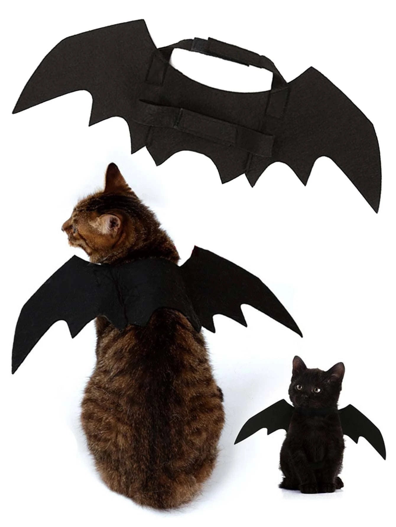  | SHEIN Pet Costume Bat Wings For Dogs And Cats, Black Color, Cool Halloween Bat Transformation Outfit | Dress | Shein | OneHub