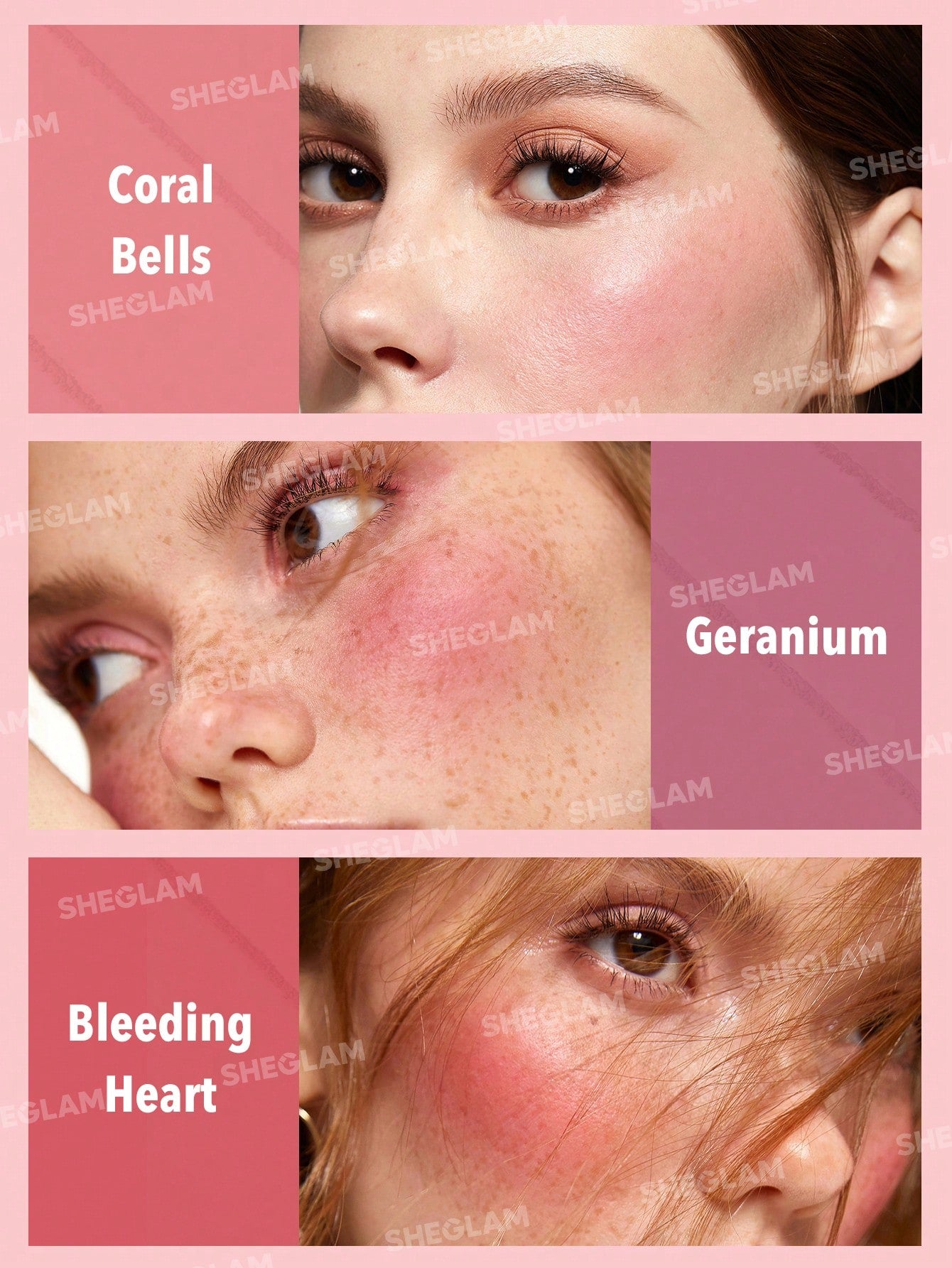  | SHEIN SHEGLAM Floral Flush Blush Palette | Brush | SheGlam | OneHub