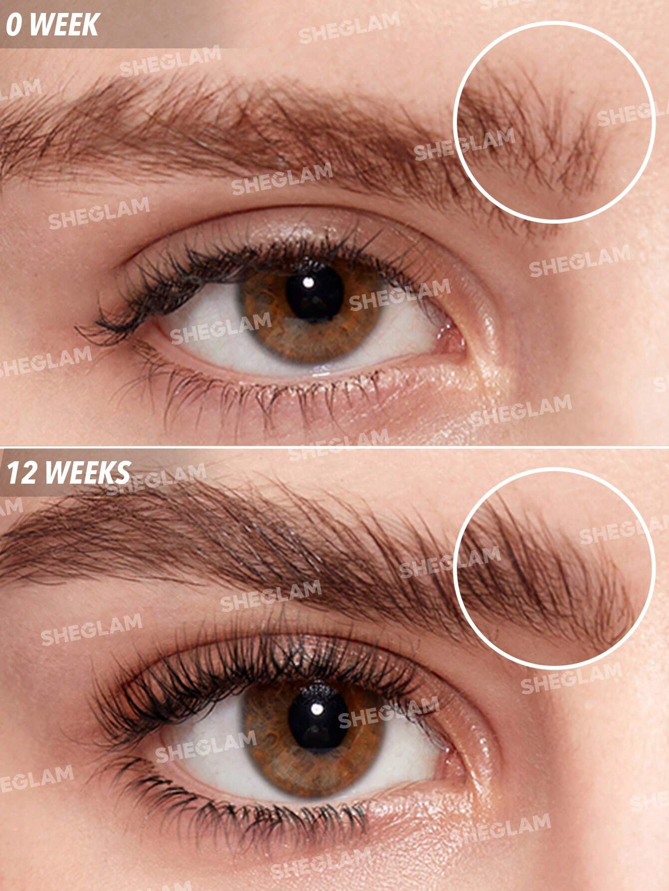  | SHEGLAM Gro-Pro Nourishing Lash Serum Clear Brow Serum Easy-To-Apply Strengthen Sparse And Fragile Lash Eyebrow And Lash Treatment | Makeup | SheGlam | OneHub