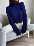  | SHEIN Frenchy Solid Turtleneck Bishop Sleeve Crop Sweater | Sweater | Shein | OneHub