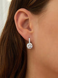 Shein Zircon Decor Earrings