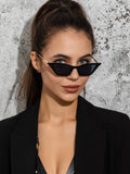 Shein Cat Eye Fashion Glasses